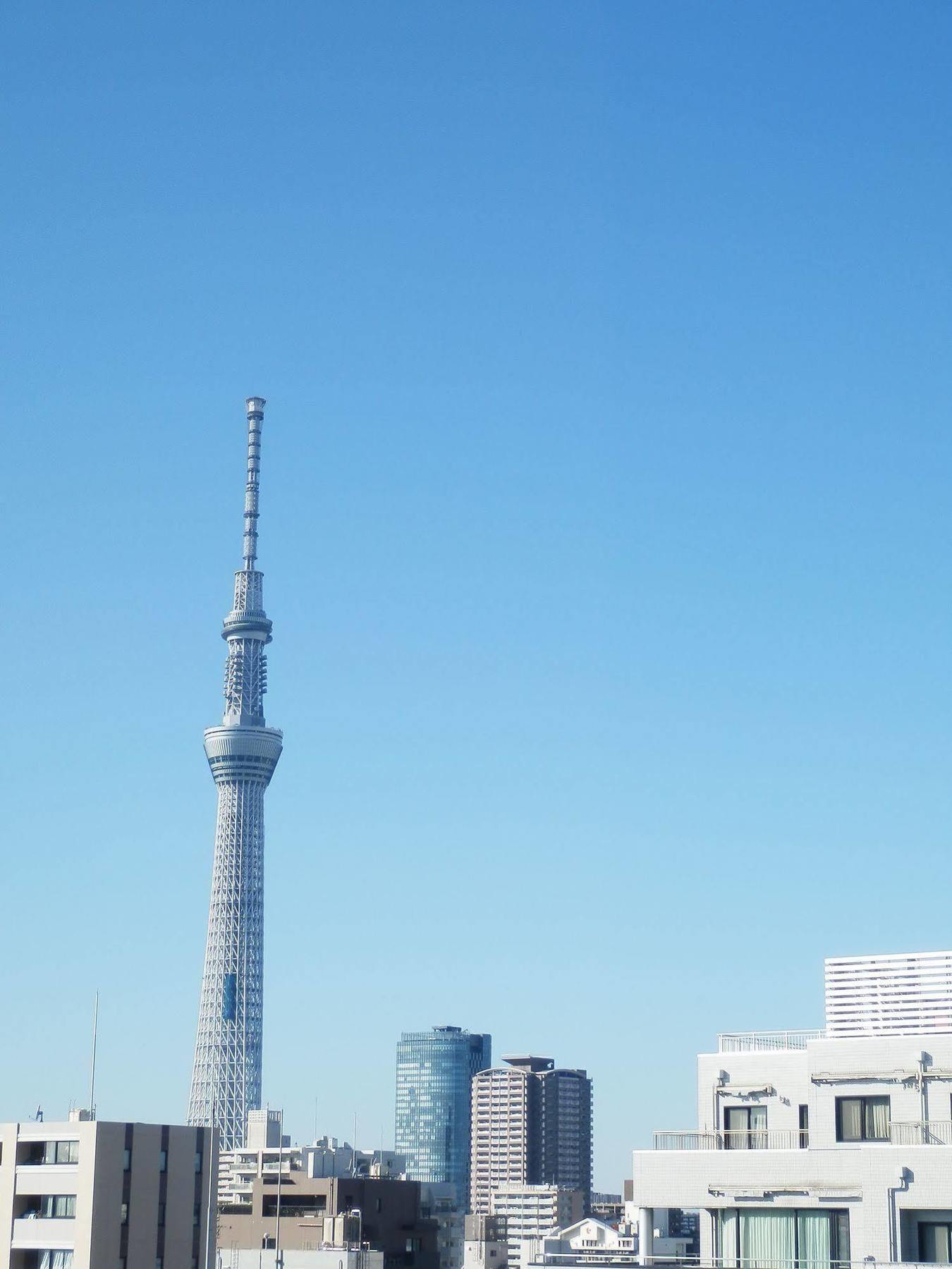 Excel City Hotel Kameido Tokyo Dış mekan fotoğraf